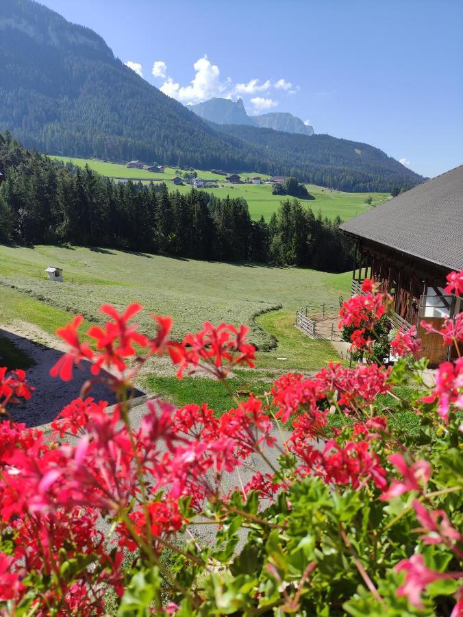 Apartament Polzhof Castelrotto Zewnętrze zdjęcie